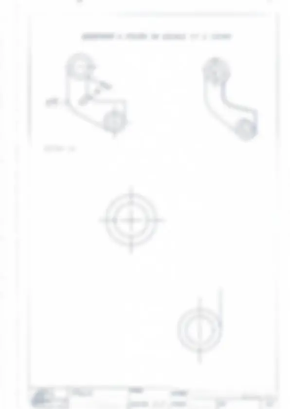 pf19
