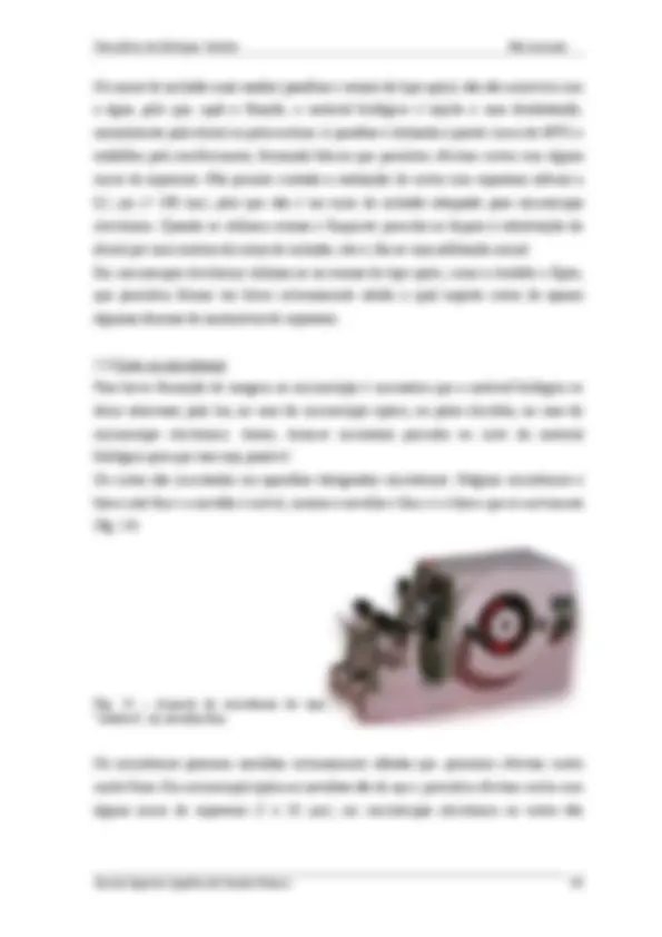 pf13