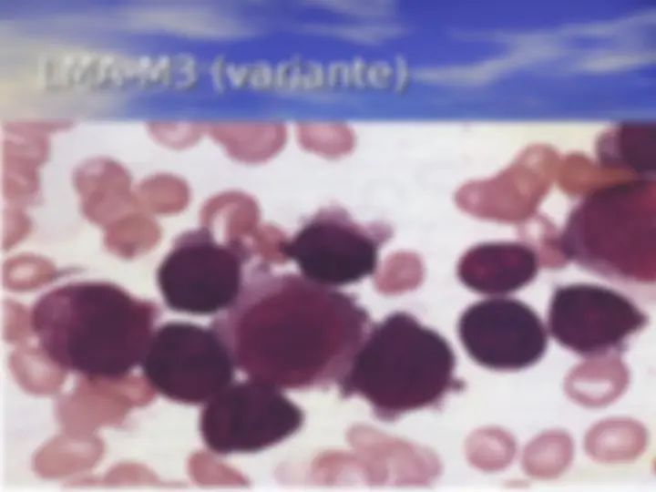 pf30
