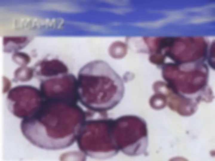 pf28