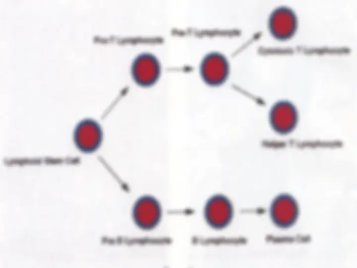 pf5a
