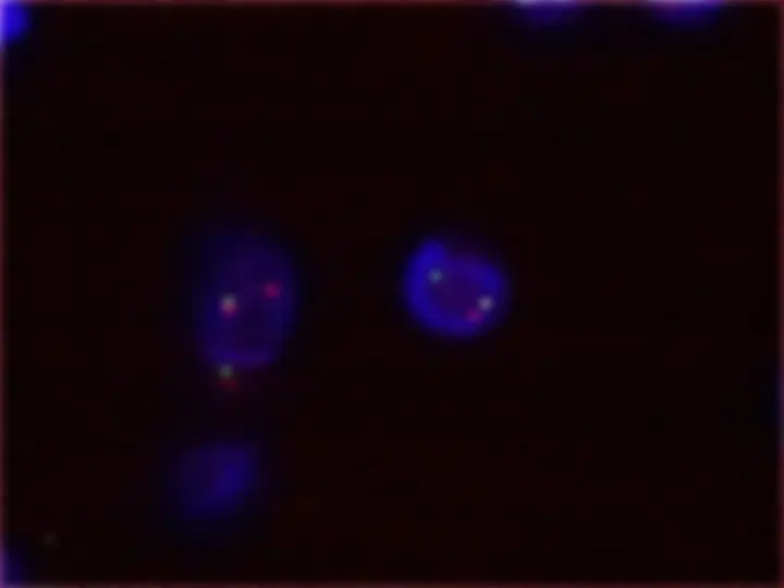 pf48