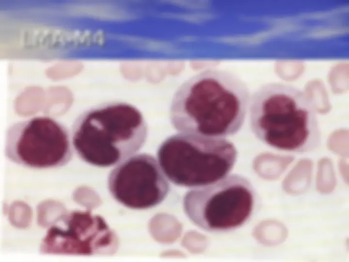 pf33