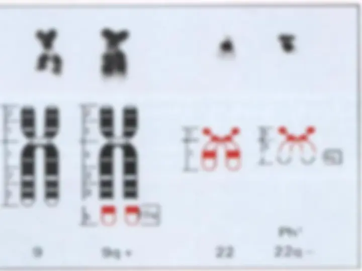 pf46