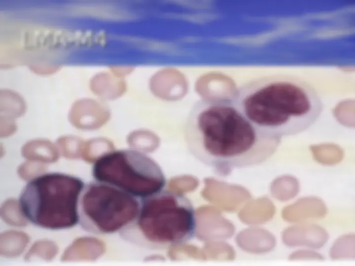 pf34