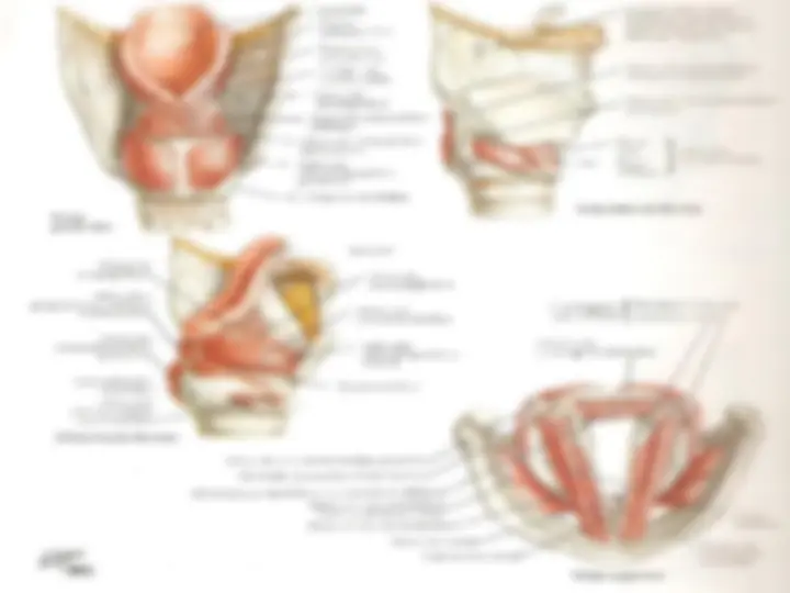 pf44