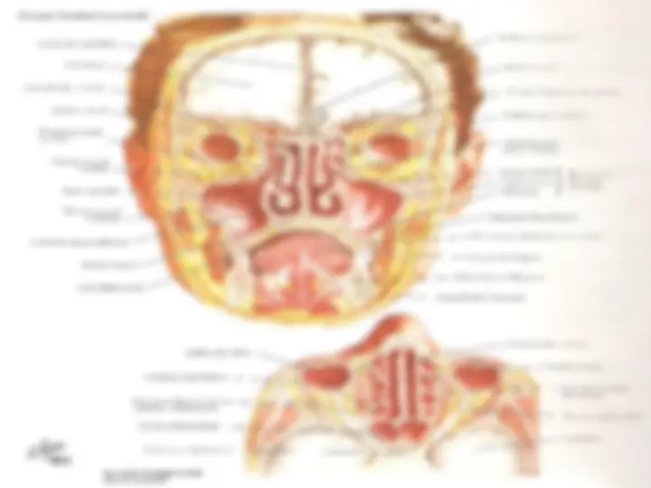 pf28