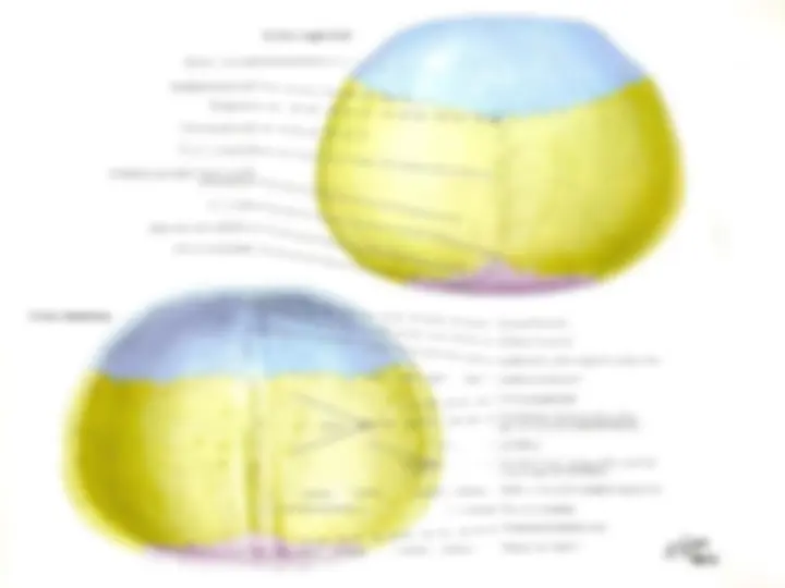 pf5
