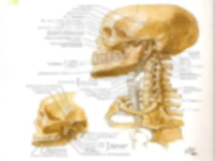 pfa