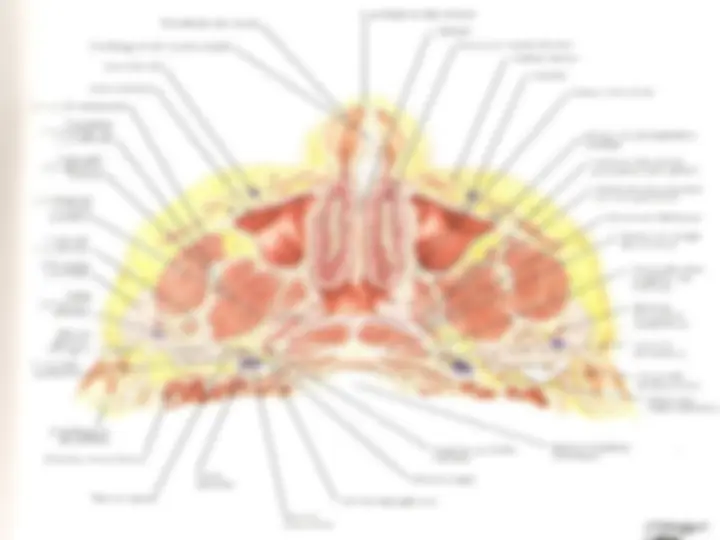 pf27