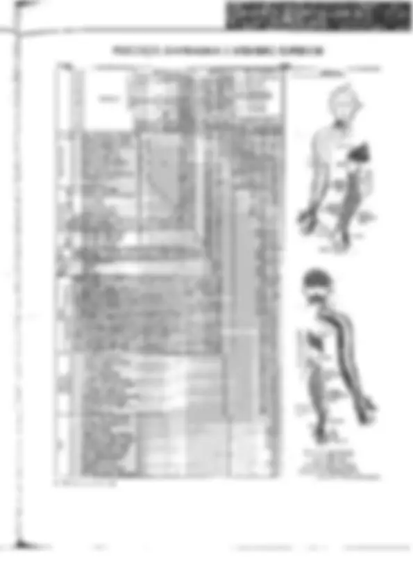 pf31