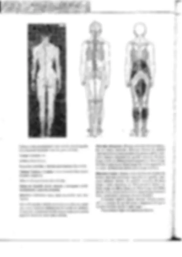 pf60