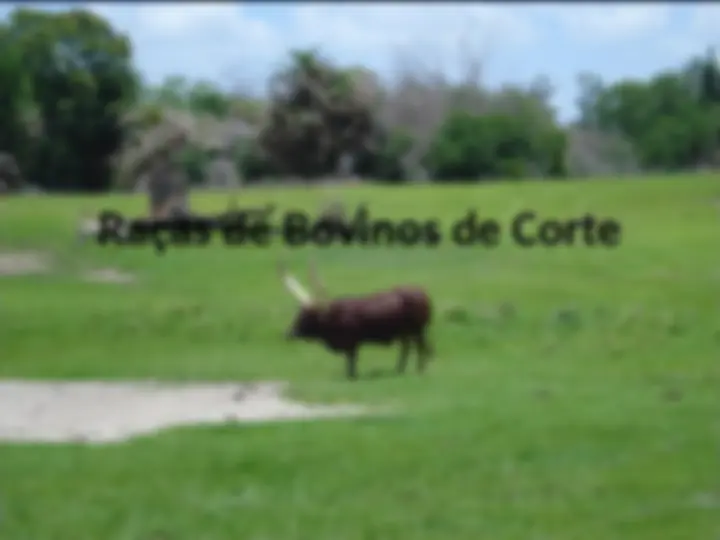 pf5