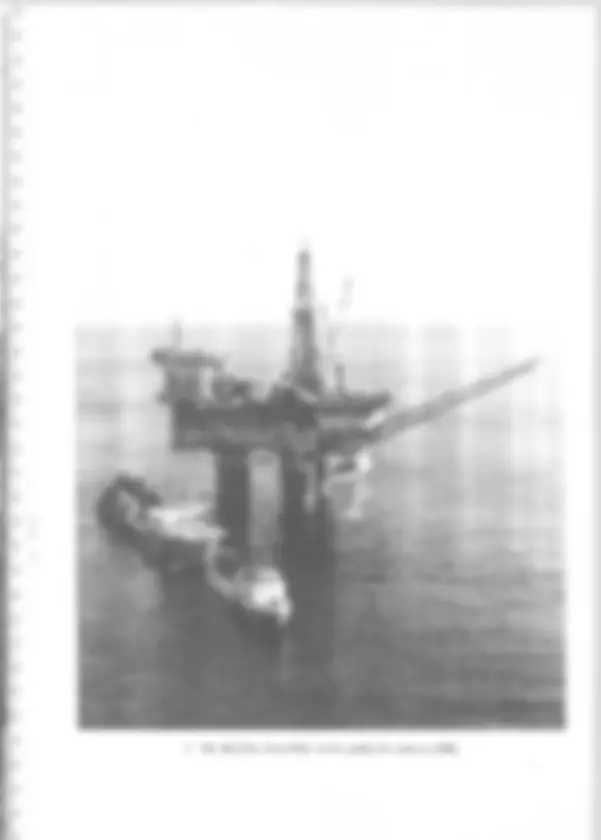pf31