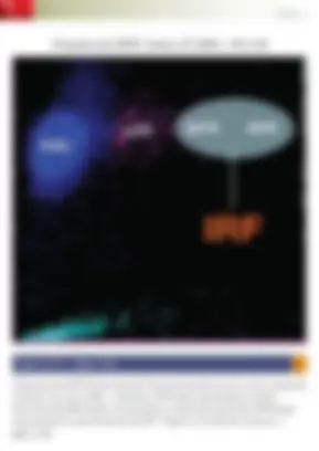 pf4d