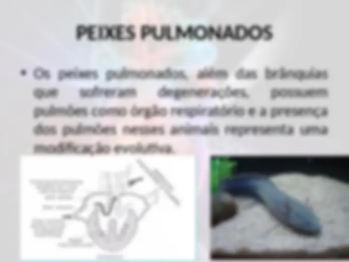 pf25