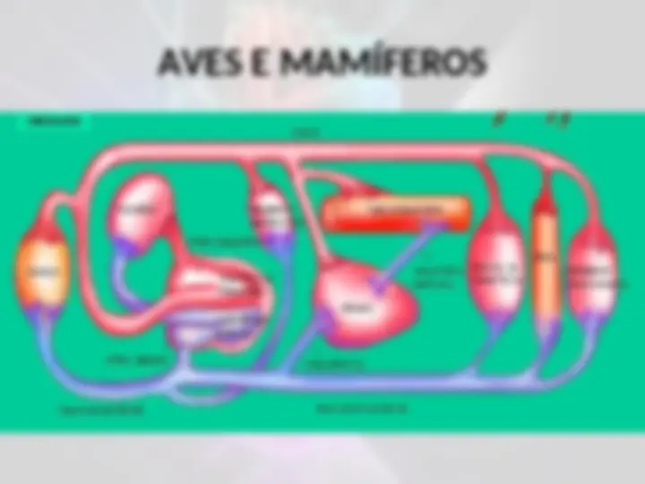 pf33