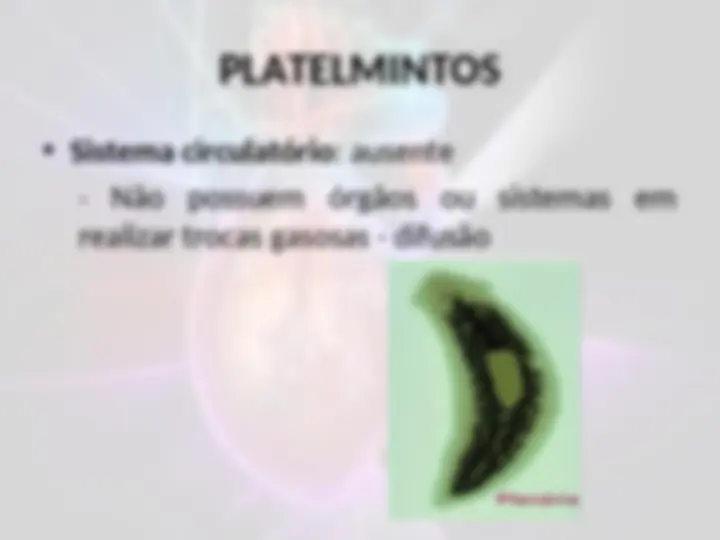 pfe