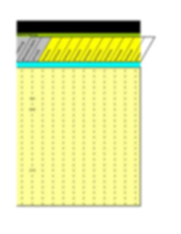 pf19