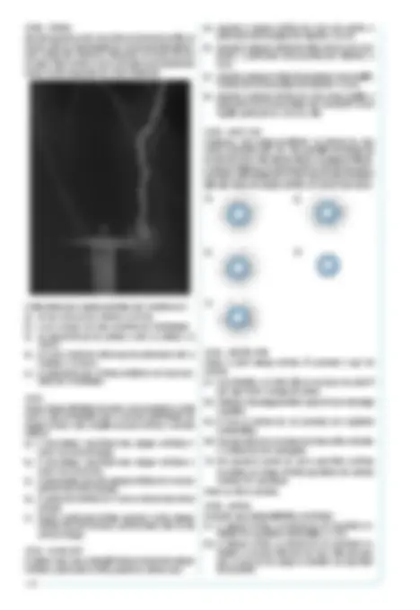 pf28