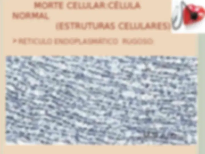 pf19