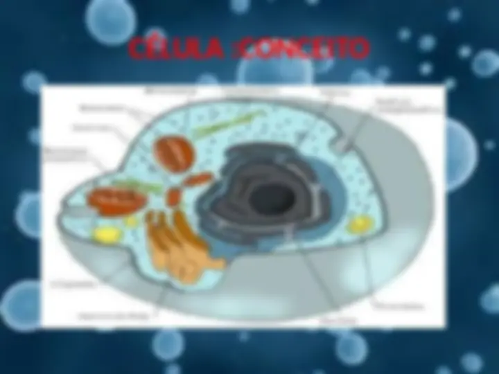 pf3