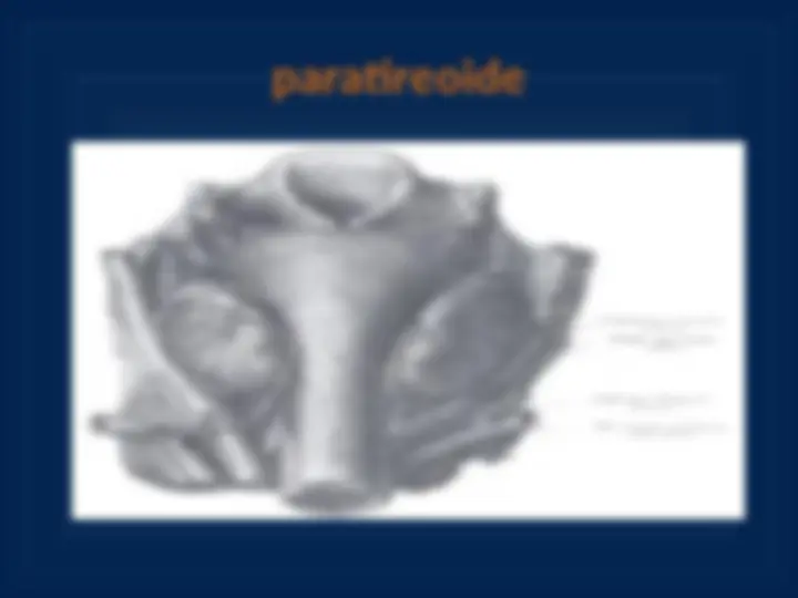 pf20