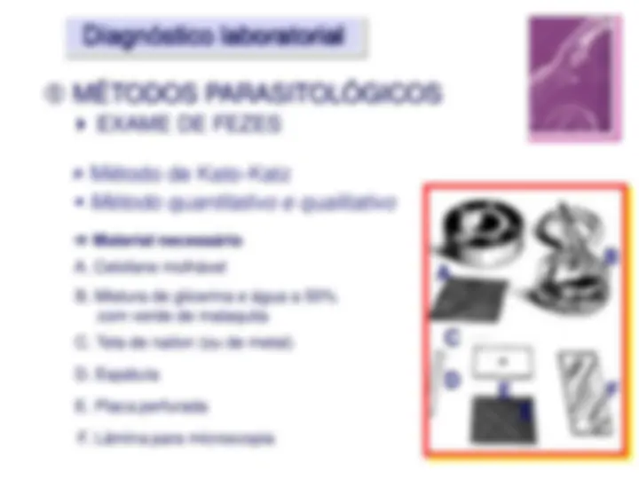 pf17