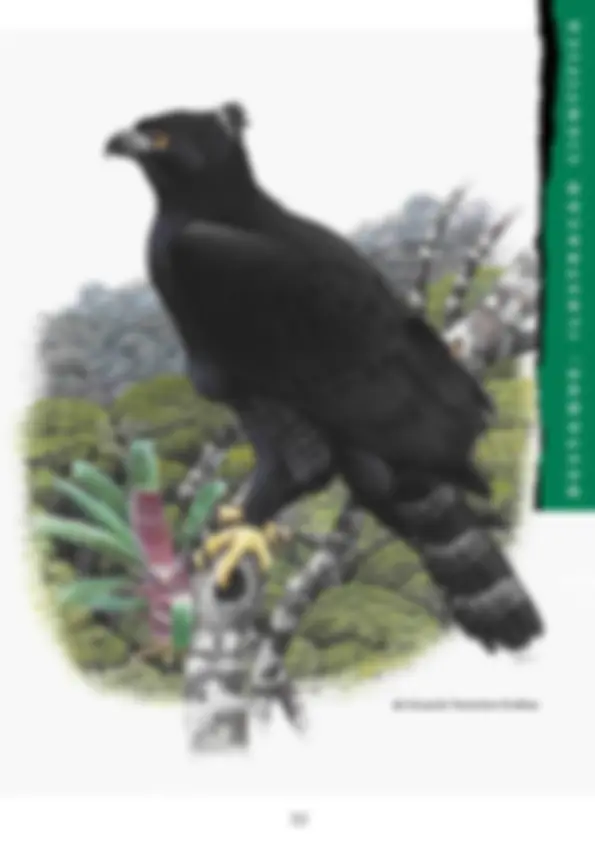 pf20