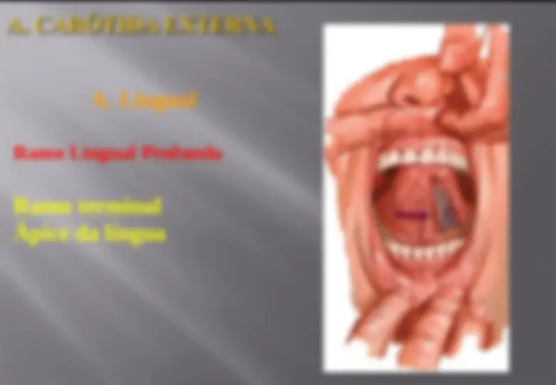 pf2a