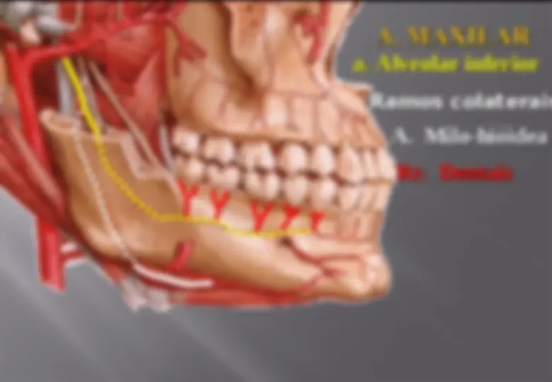 pf5f