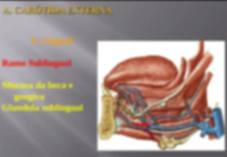 pf28