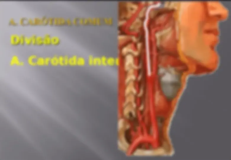 pfa