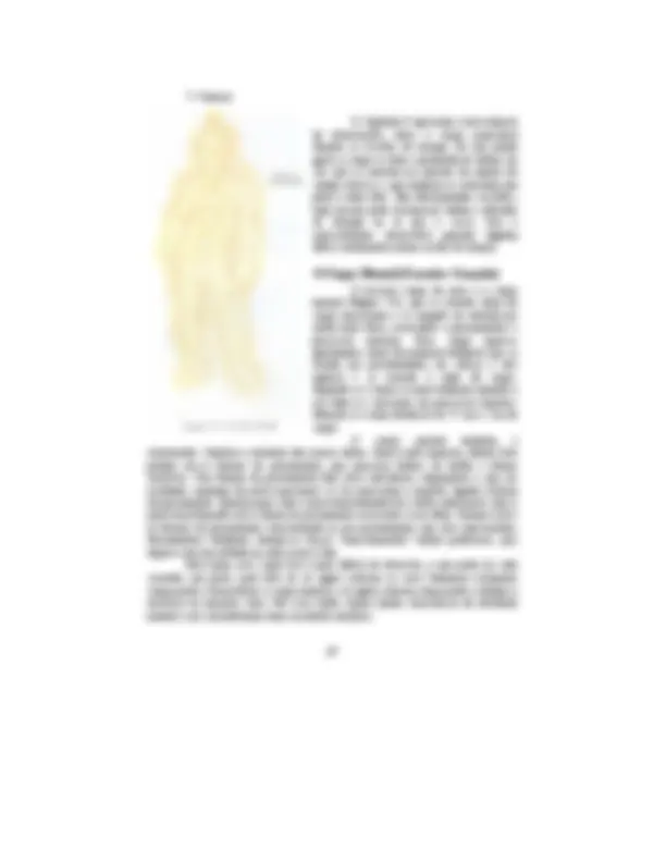 pf53