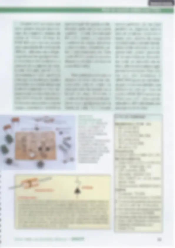pf34