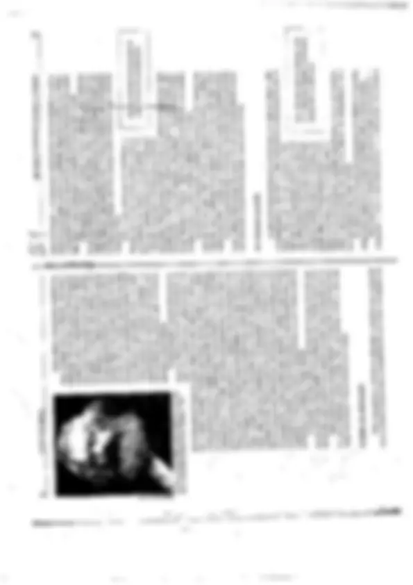 pf38