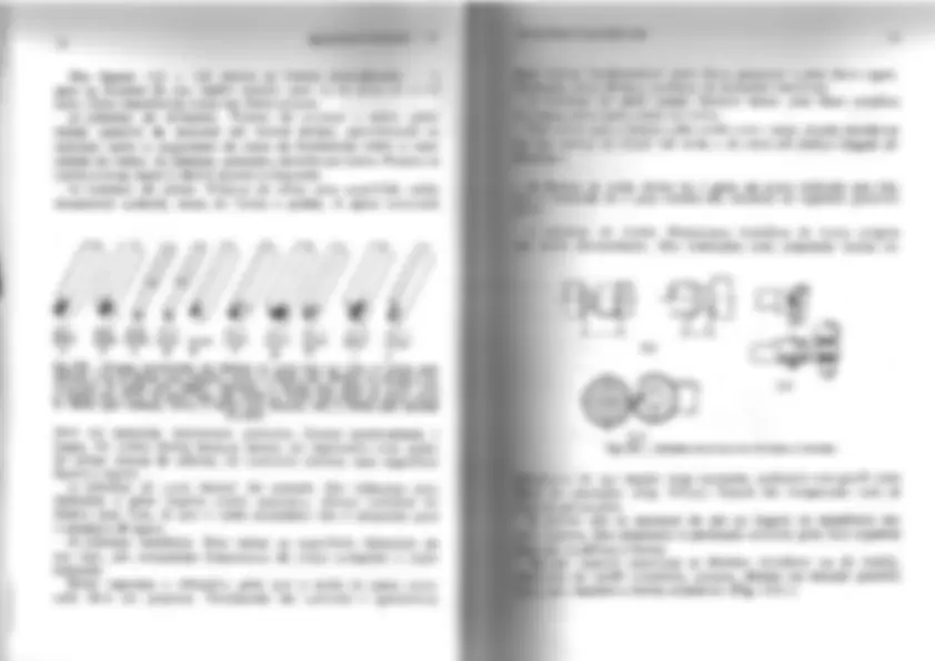 pf26