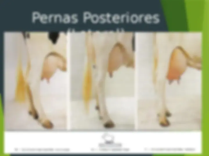 pf13