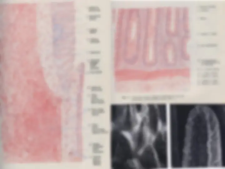pf36
