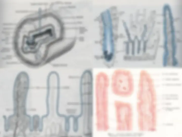 pf34