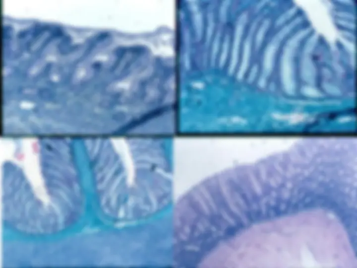 pf37