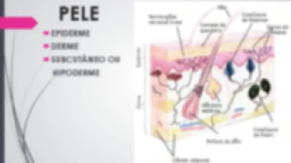 pf3