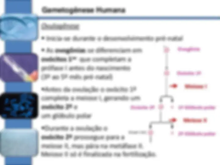 pf13