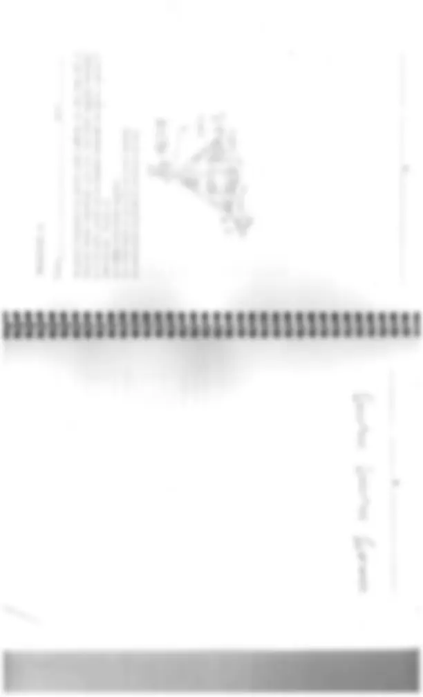 pf19
