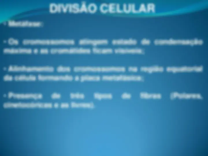 pf28