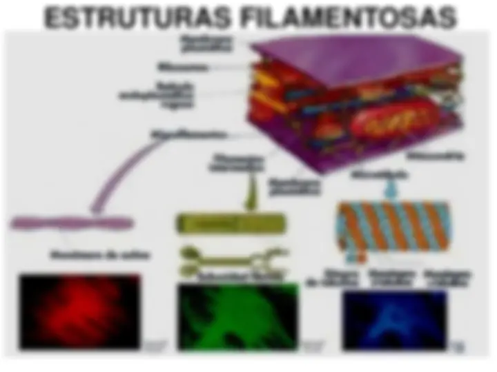pf13