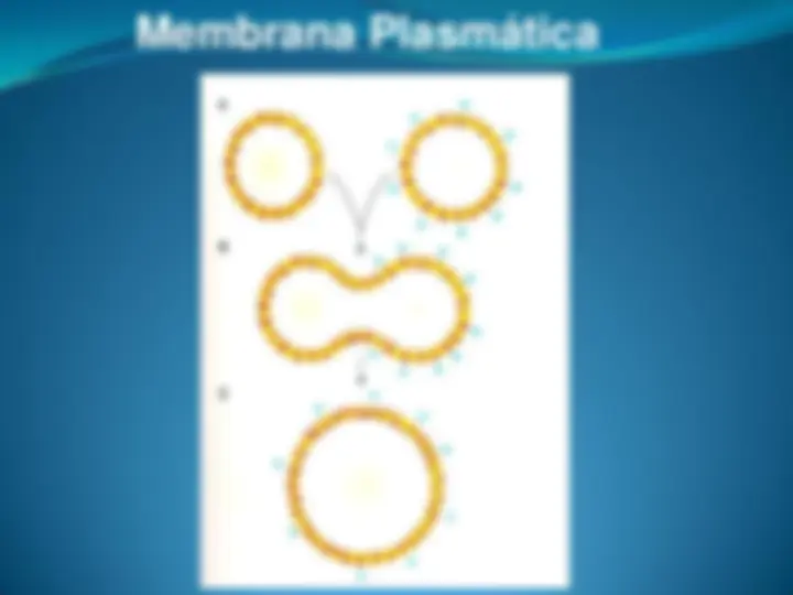 pf14