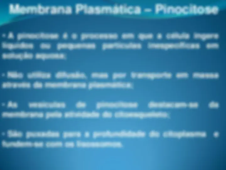 pf28