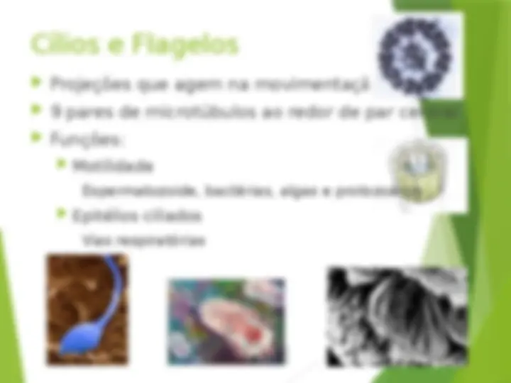 pf13