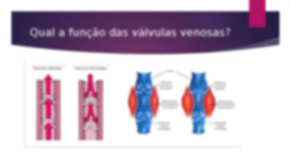 pf13
